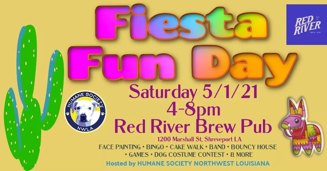 Fiesta Fun Day